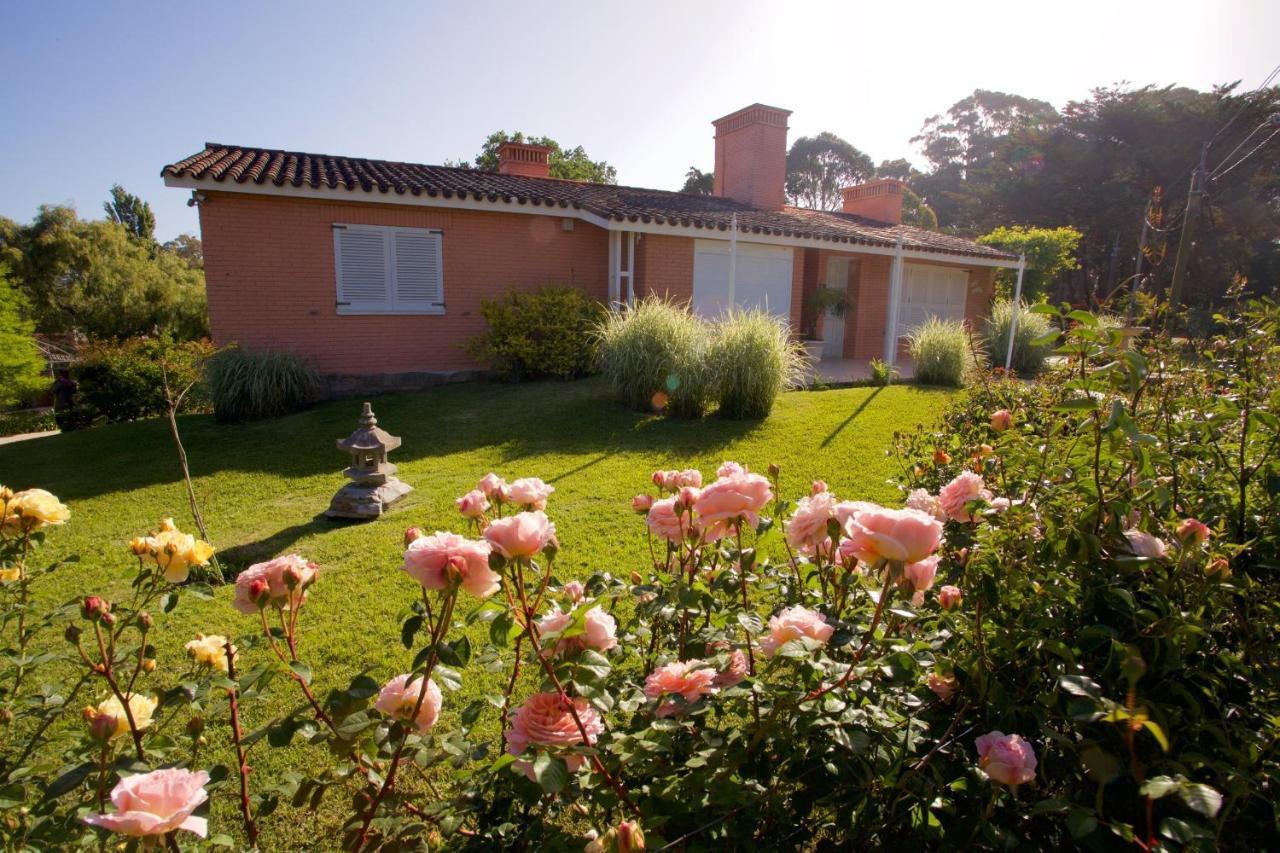 Red Wind Otel Punta del Este Dış mekan fotoğraf